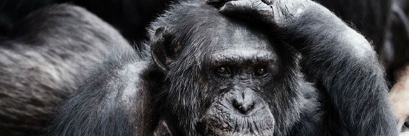 Die Nutzung von künstlich intelligenter Systeme muss gleich drei Hürden nehmen.