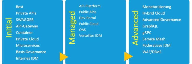 API-Management-Reifegradmodell.