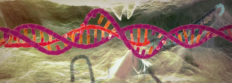 CRISPR Cas9 hat die Genom-Editierung revolutioniert. Mit der Genschere lässt sich das Erbgut an bestimmten Stellen schneiden und verändern. Ein RNA-Molekül leitet dabei das Enzym Cas9 zur Schnittstelle auf dem DNA-Doppelstrang und ermöglicht so das An- und Abschalten von Genen.