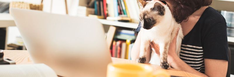 Über die Arbeit von zuhause wird immer noch rege diskutiert.