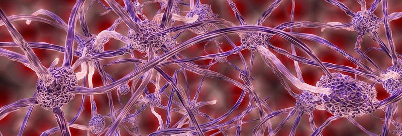 Ursächlich für die Multiple Sklerose sind autoimmune, chronisch-entzündliche Prozesse im Zentralnervensystem (ZNS). (Symbolbild, Nervenzellen grafisch)