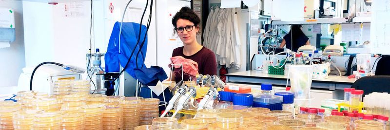 Tanita Wein untersuchte in ihrer Promotionsarbeit am Beispiel des Bakteriums Escherichia coli, wie sich Plasmide in Abwesenheit eines Selektionsdrucks entwickeln.