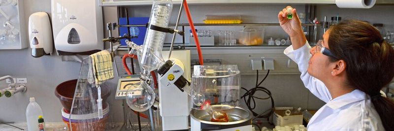 Abb.1: Meza inspiziert die grüne Ru(III)-Lösung. Sie entsteht am Ende der photokatalytischen Experimente aus dem orange gefärbten Ru(II) und signalisiert den Verbrauch des Katalysators am Ende seiner Lebenszeit.