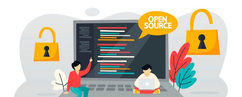 Developer können Open-Source-Code individuell anpassen oder optimieren, ohne die volle Verantwortung für die Entwicklung tragen zu müssen.