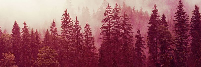 Microsofts Enhanced Security Administrative Environment (ESAE), alias "Red Forest", bietet bis zu einem gewissen Punkt ein Risikomanagement für AD und die Windows-Betriebssysteme im Unternehmen.