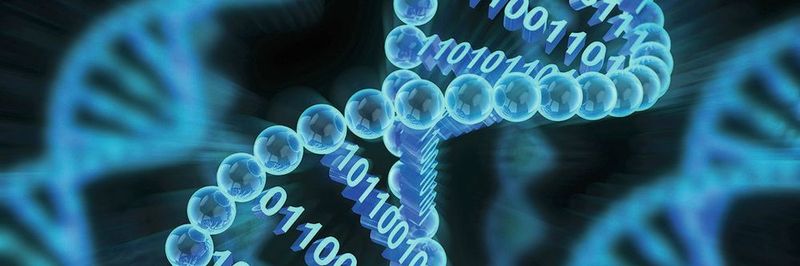 Medizinische Daten müssen abgesichert werden