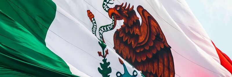 The mexican industry is growing more and more.
