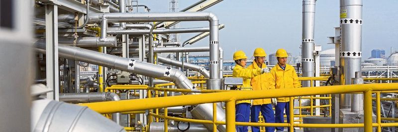 Große Unternehmen haben sich in China auf die strengere Umweltgesetzgebung eingestellt, wohingegen die Behörden viele kleinere Betriebe geschlossen haben.
