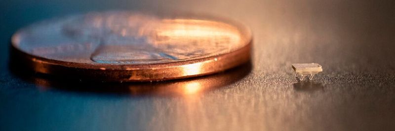 Ein Mikro-Bot im Größenvergleich zu einem US-Penny. Der Winzling ist gerade einmal zwei Millimeter lang.