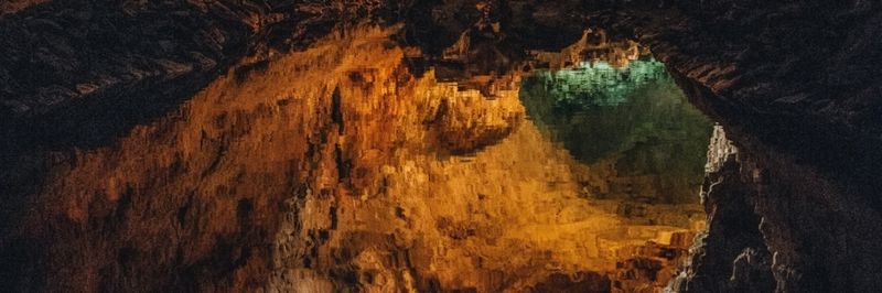 Photo by Jorge Fernández on Unsplash