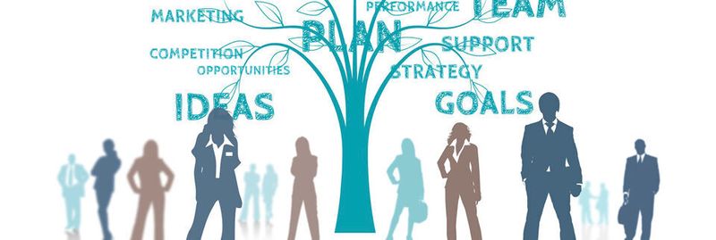 Organisation, Prozesse, Leadership oder Unternehmenskultur müssen heute bestmöglich auf die operativen und strategischen Ziele ausgerichtet werden.