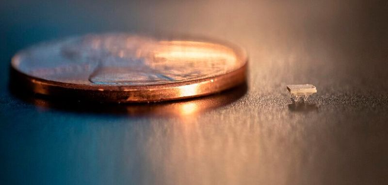 Ein Mikro-Bot im Größenvergleich zu einem US-Penny. Der Winzling ist gerade einmal zwei Millimeter lang.