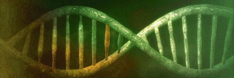 Versteckte Mutationen im Genom können später größere Evolutionssprünge ermöglichen (Symbolbild).