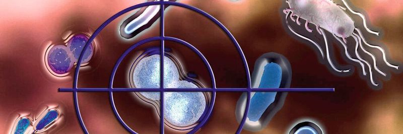 Selektive Antibiotika ermöglichen Präzisionseingriffe im Mikrobiom (Computergrafik).