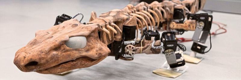 Robotik-Studie für Morgen nach biologischem Urzeit-Vorbild: Für ein flüssiges Bewegungsbilld sorgen 28 Aktoren in Beinen und Wirbelsäule des Orobates-Roboters.