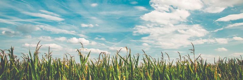 Big Data und Data Analytics sind die aktuellen Trends der B2B-Kommunikation.