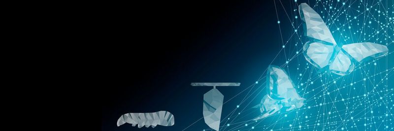 Die Digitale Transformation gestaltet sich häufig schwierig.