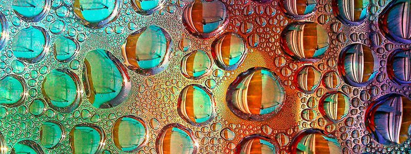 "Preconnect Lotus" lässt Verschmutzungen von Glasfaserkontakten einfach abperlen wie Lostusblätter Wasser.