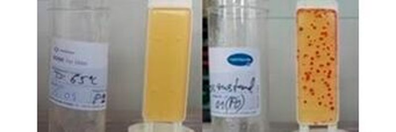 Wie sich Kühlschmierstoffe ohne Biozide entkeimen lassen, zeigt PH-Cleantec auf der Messe EMO Hannover 2019.