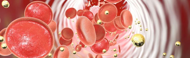 1 Gold nanoparticles could establish themselves as active substance vehicles in medicine. However, their effects and side effects must first be comprehensively studied.