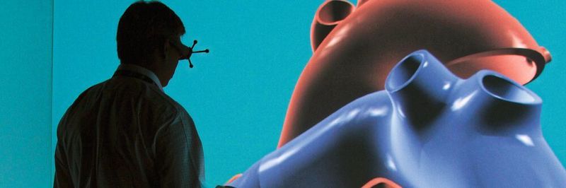 Das wegweisende Projekt mit dem simulierten 3D-Herzmodell Living Heart untersucht den Einsatz der Herzsimulation als digitalen Nachweis für die Zulassung neuer kardiovaskulärer Geräte.