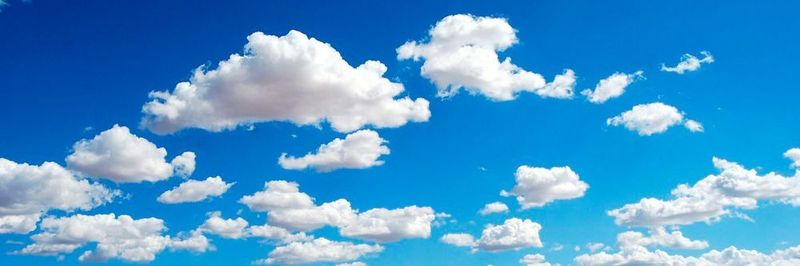 Unternehmen investieren verstärkt in die Cloud, um Geschäftsprozesse vermehrt miteinander zu vernetzen.
