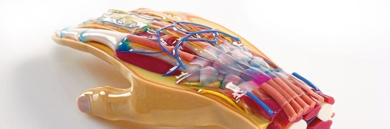 Aktuelle Polyjet-Drucker drucken in einem Modell unterschiedliche Materialien – mit unterschiedlichen Farben oder Eigenschaften. Für die CAD-Systeme ist das eine Herausforderung.