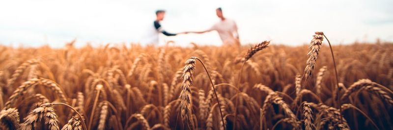 Auch im B2B Marketing lassen sich Emotionen nutzen. Das zeigt zum Beispiel der Landtechnikhersteller HORSCH mit der Kampagne Farming Heroes.