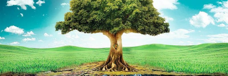 etree - die zukunftsorientierte ITK-Distribution.