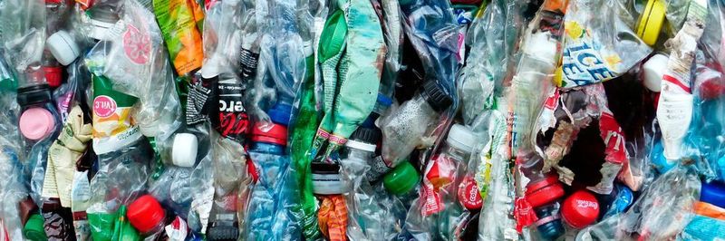 Bioplastik aus Abfallfetten: Sebastian L. Riedel und Stefan Junne von der TU Berlin forschen daran, Kunststoffe aus Erdöl zu ersetzen – mit Hilfe von Bakterien.