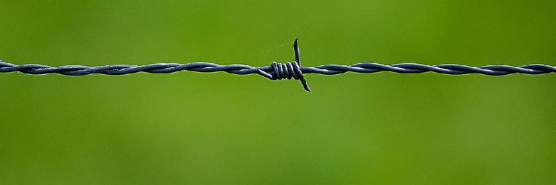 Die Anzahl der Datendiebstähle in IaaS-Umgebungen ist laut McAfee pro Jahr um 248 Prozent gestiegen.