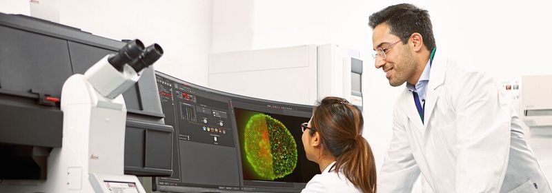 Abb.1: Die hochauflösende digitale Bildgebung ermöglicht die Archivierung und den Austausch von Bildaufnahmen mikroskopischer Proben.