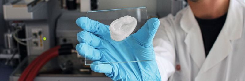 Ohr aus dem 3-D-Drucker: Empa-Forscher Michael Hausmann nutzt Nanocellulose als Basis für neuartige Implantate.
