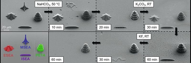 Dreidimensionale Mikrostrukturen aus verschiedenen spaltbaren Fotolacken. Die Rasterelektronenmikroskopaufnahmen zeigen den selektiven Abbau der Strukturen. (Skalierung 20 µm)