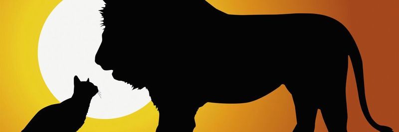 David und Goliath: Einkäufer sind gegenüber Lieferanten mit Monopolstatus nicht machtlos.