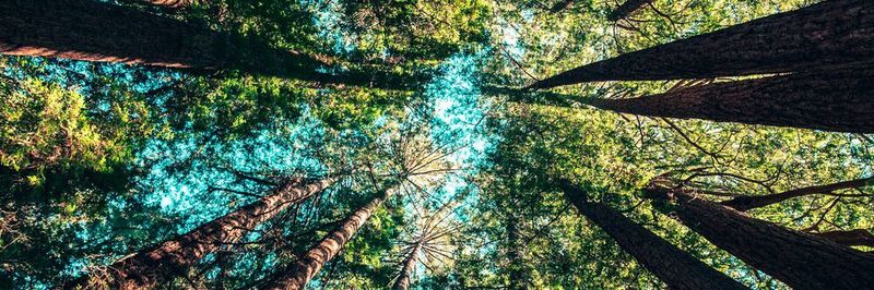 In addition to environmentally relevant topics, current concerns in the areas of occupational safety and energy have also found their way into the agenda.