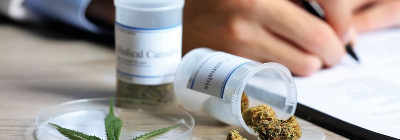Abb. 1: In Deutschland ist medizinisches Cannabis seit dem 1. März 2017 verschreibungsfähig