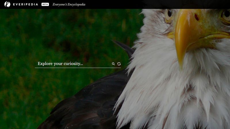 Wer zur Everipedia beiträgt, wird mit EOS-basierten IQ-Tokens belohnt.