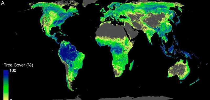 Gesamte verfügbare Fläche, auf der Bäume wachsen könnten (aktueller Waldbestand und für Wiederaufforstung geeignete Fläche). Geoengineering – Technologien, um Treibhausgase aus der Atmosphäre zu entfernen – könnten einen sinnvollen Ansatz für die Strategien gegen den fortschreitenden Klimawandel bieten