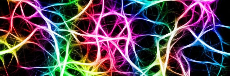 Hier betrachten wir näher, wie ein künstliches neuronales Netz vernetzt wird und lernt.
