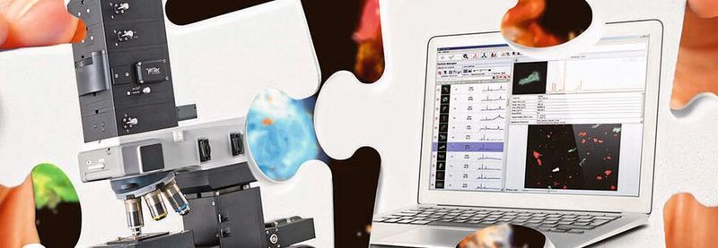 The Raman microscope alpha 300R and the software Particlescout are the perfect combination for the analysis of microparticles.