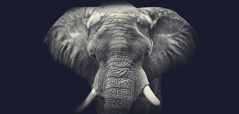 Groß wie ein Elefant scheint der Berg an Arbeit, wenn es um die Entwicklung komplexer Produkte und Systeme geht – diese über ihren Lebenszyklus strukturiert zu analysieren, spezifizieren, entwickeln und anzupassen ist Aufgabe des Systems Engineering.