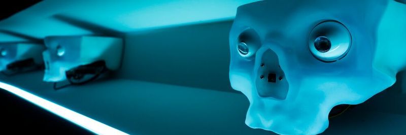 KI-Lösungen werden in den verschiedensten Bereichen mehr und mehr zur Schlüsseltechnologie.