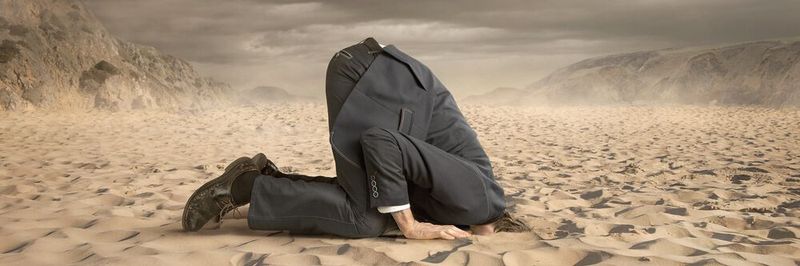 Wer in der digitalen Arbeitswelt Karriere machen will, sollte den Kopf nicht in den Sand stecken. Werden Sie stattdessen aktiv!