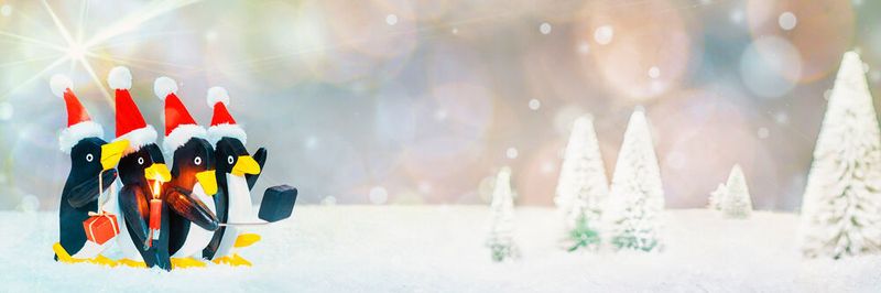 Und plötzlich steht Weihnachten wieder vor der Türe und es stellt sich die Frage nach den passenden Geschenken.