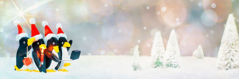 Und plötzlich steht Weihnachten wieder vor der Türe und es stellt sich die Frage nach den passenden Geschenken.