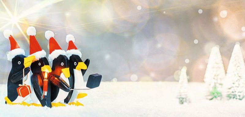 Und plötzlich steht Weihnachten wieder vor der Türe und es stellt sich die Frage nach den passenden Geschenken.