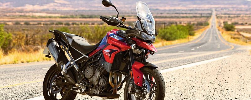 Im Februar ersetzt Triumph die Tiger 800 durch die neue Tiger 900. Hier die Version GT Pro.