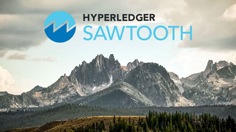 Sawtooth ist eine modulare Plattform zum Erstellen, Bereitstellen und Ausführen von verteilten Ledgern.