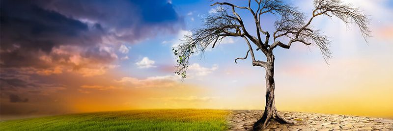 Den Klimawandel eindämmen – Grundlage ist das Sammeln und Speichern von Daten.